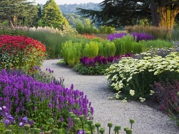 Perennial Flowers
